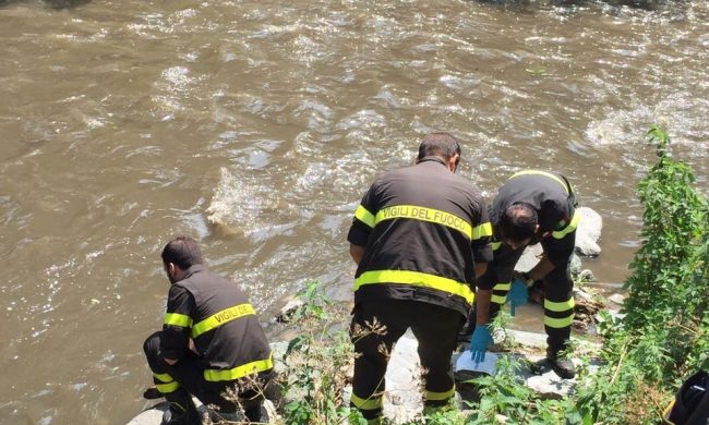 Moria Di Pesci Nel Fiume Seveso L Allarme A Cesano Prima Monza