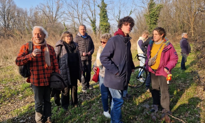 Pedemontana Abbattuto Il Bosco Di Bernate Gli Ambientalisti Insorgono