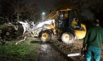 Biassono - Salva per miracolo la 50enne travolta da una pianta nel Parco di Monza