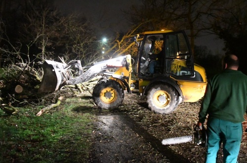 Biassono – Salva per miracolo la 50enne travolta da una pianta nel Parco di Monza