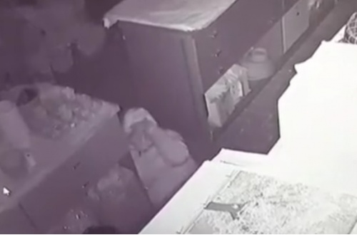 Concorezzo, ladro ripreso dalle telecamere