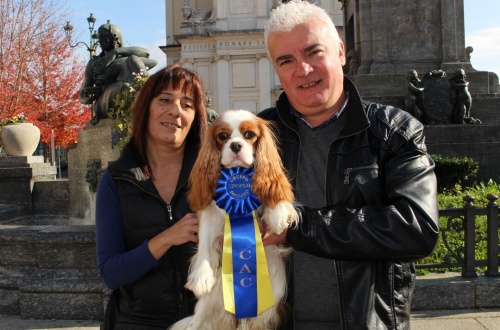 Desio, “Riportate in città l’esposizione canina”