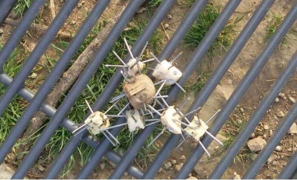 Desio, bocconi coi chiodi all’area cani