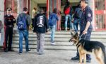 Desio, controlli anti-droga al liceo Majorana