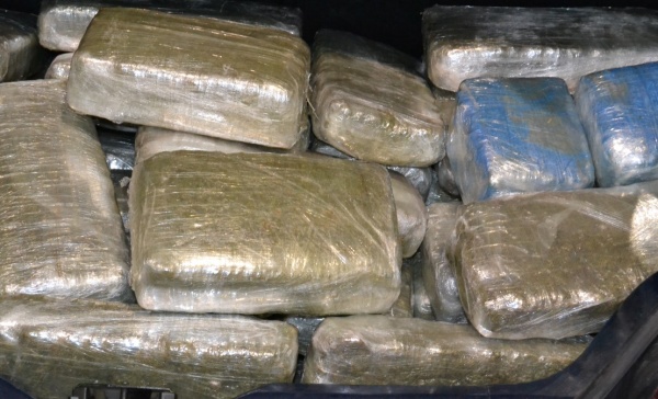 Maxisequestro di marijuana a Muggiò