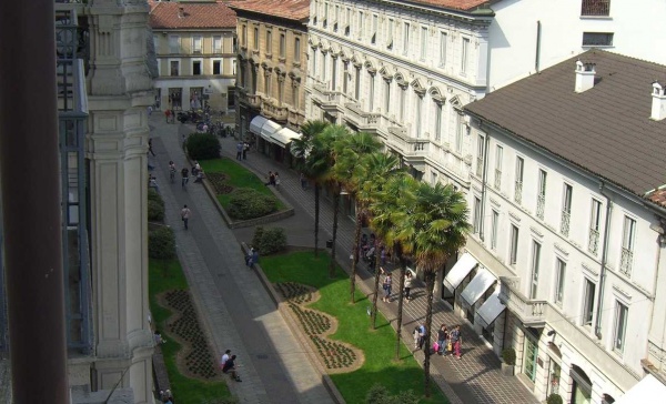 Milano, tutti contro le palme. Ma a Monza ci sono da almeno vent’anni