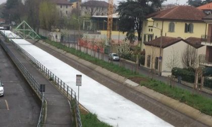 Monza: canale Villoresi oggi completamente tinto di bianco