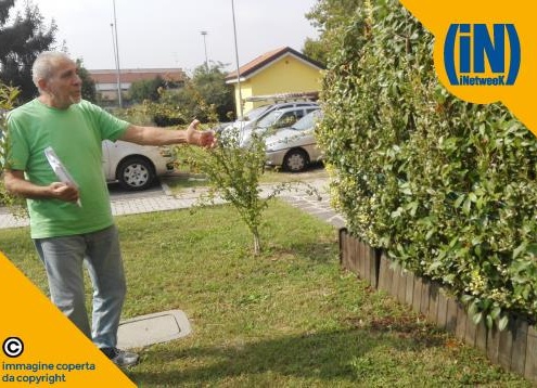 Piantumano alberi e siepi a loro spese, ma il Comune di Monza intima di eliminarli