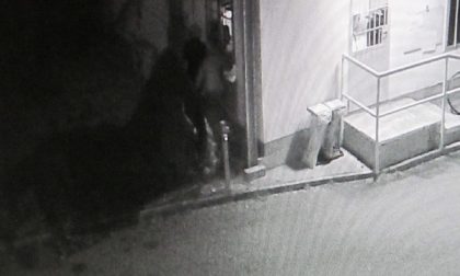 Seregno: ladri sfondano il muro della ditta ripresi dalle telecamere