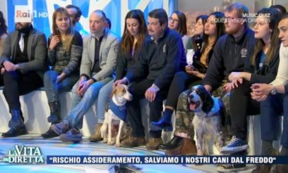 Tre cani Enpa Monza star della TV