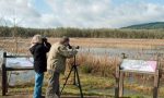 Parco Valle Lambro, un corso dedicato al birdwatching