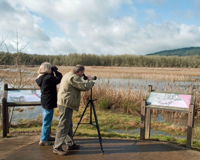 Parco Valle Lambro, un corso dedicato al birdwatching