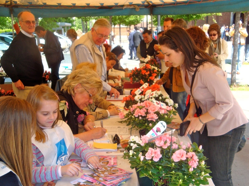 Domenica in piazza l’azalea della ricerca per sostenere l’Airc