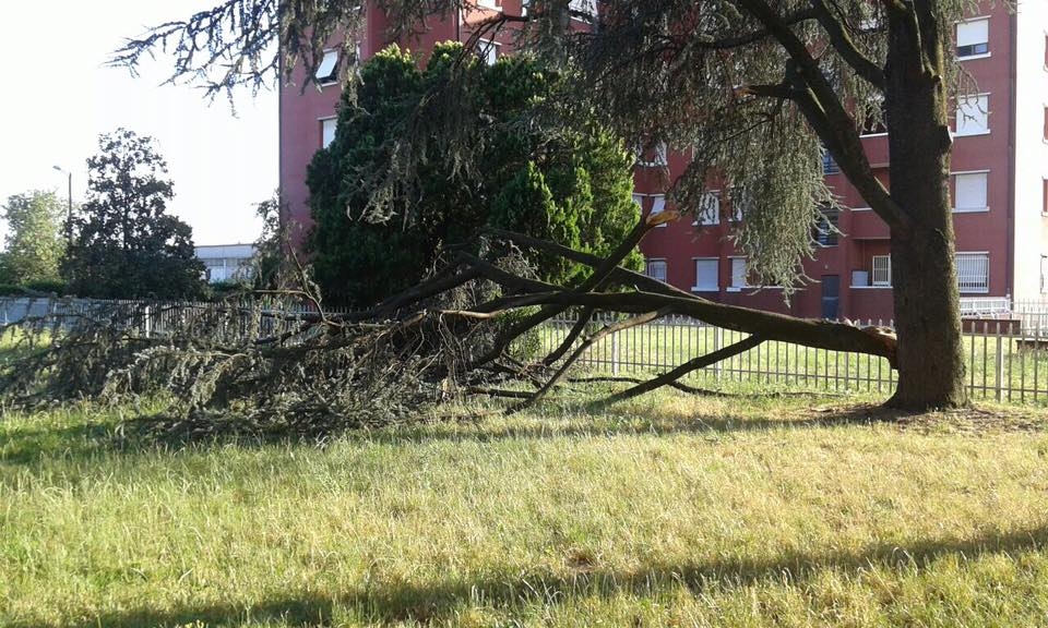 Bomba d’acqua e raffiche di vento, interventi a Merate, Lecco e in Brianza