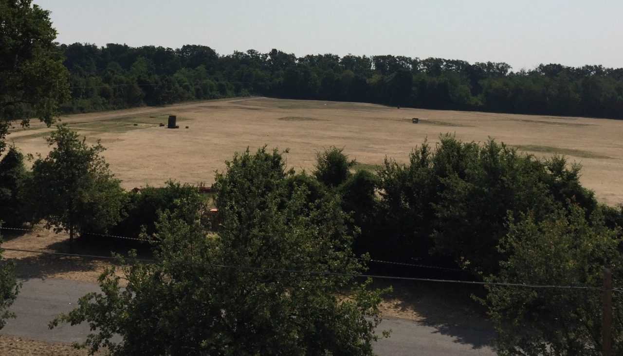 Ambientalisti contro gli I-Days: cosa chiedono al nuovo sindaco di Monza