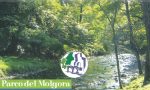 Parco del Molgora: mese di giugno ricco di eventi