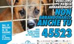 SMS-SalvaMi Subito: campagna contro la violenza sugli animali (VIDEO)