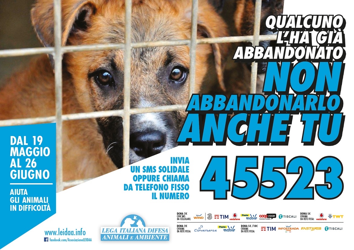 SMS-SalvaMi Subito: campagna contro la violenza sugli animali (VIDEO)