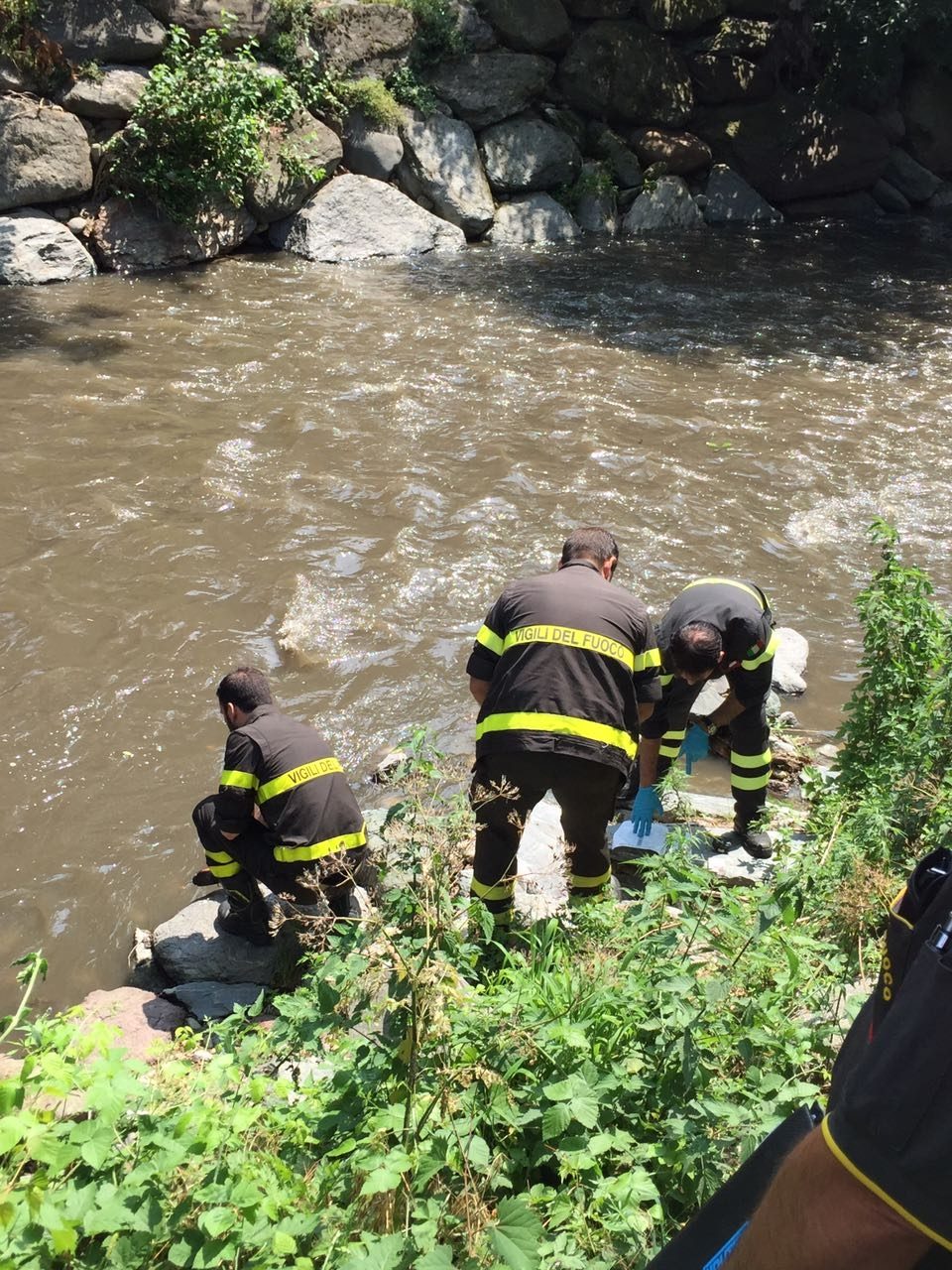 Moria di pesci nel fiume Seveso, l’allarme a Cesano