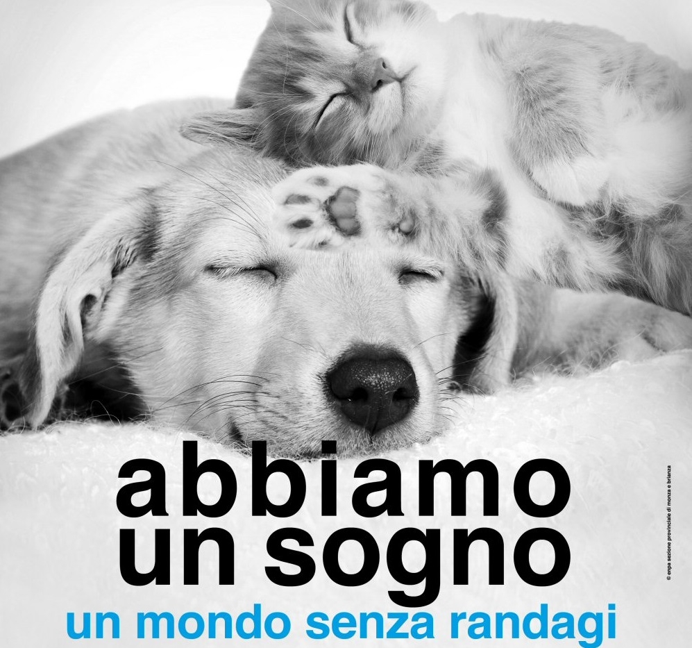 Enpa Monza contro l’abbandono dei cuccioli, ma non solo d’estate