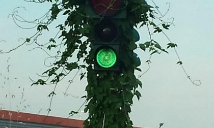 VIMERCATE Il semaforo vicino "al Pagani" è sempre... verde