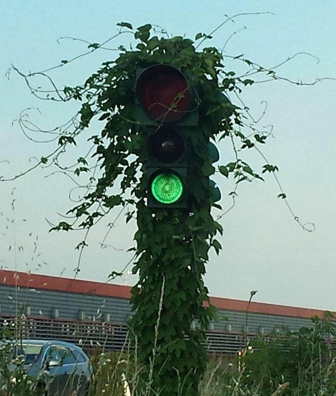 VIMERCATE Il semaforo vicino “al Pagani” è sempre… verde