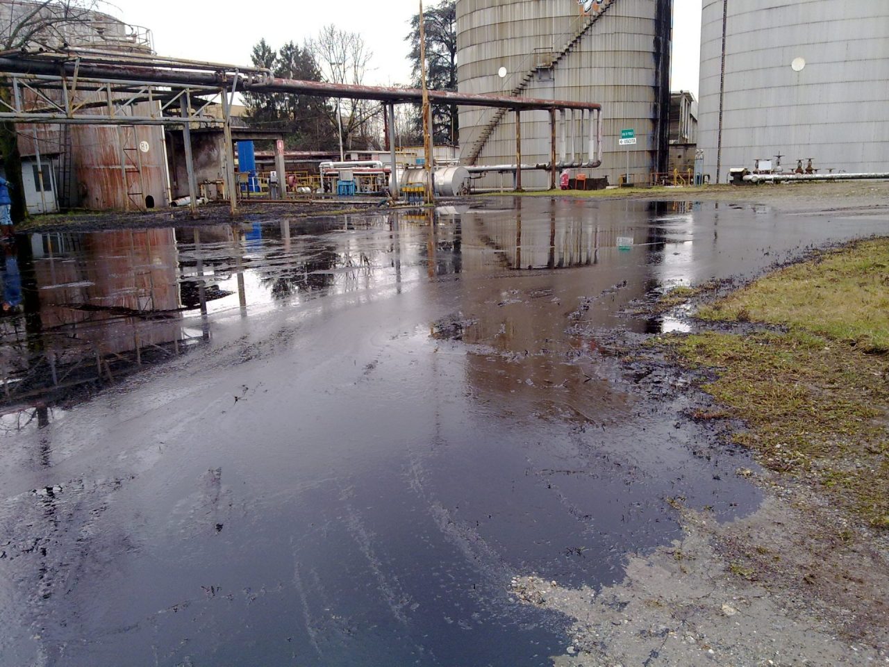 Il Coordinamento ambientalista difende la rigenerazione naturale nell’ex Lombarda Petroli