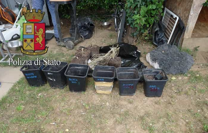 Serra di marijuana nell’armadio, confermato l’arresto per un 25enne – FOTO