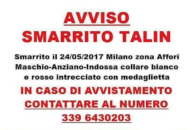 Si cerca Talin, amico a 4 zampe di una ragazza malata