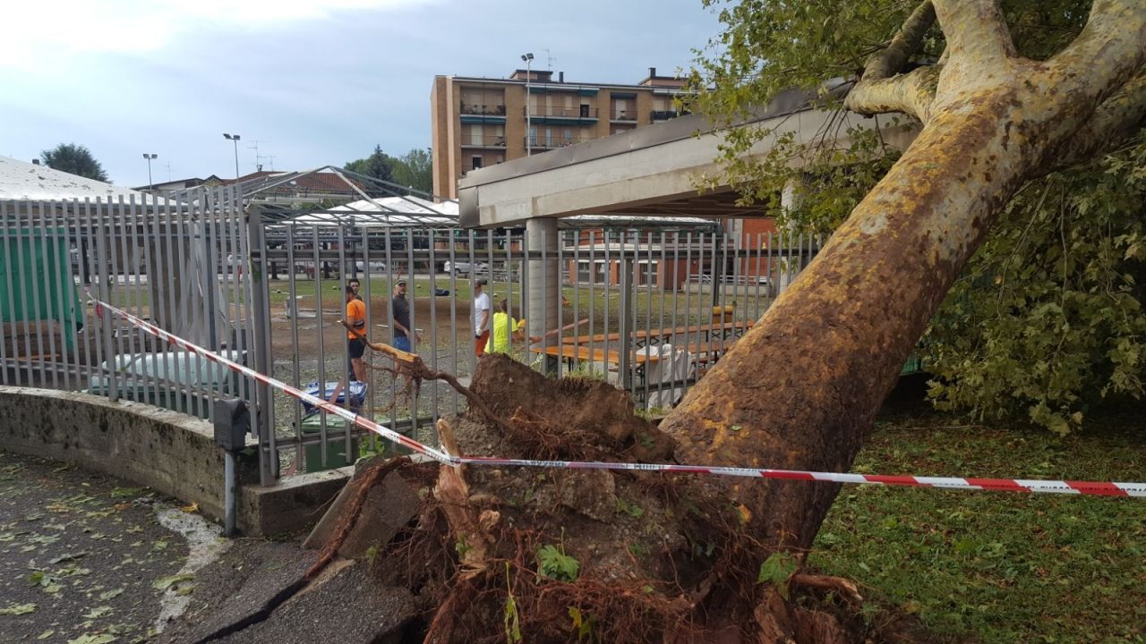 Tromba d’aria: i danni a Villasanta e Arcore VIDEO