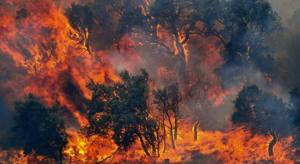 Sos Alerts, arriva l’applicazione di Google per le emergenze