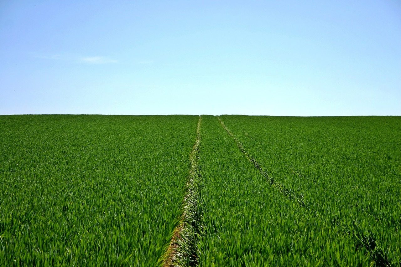 Agricoltura a km zero, agevolazioni ad Agrate Brianza