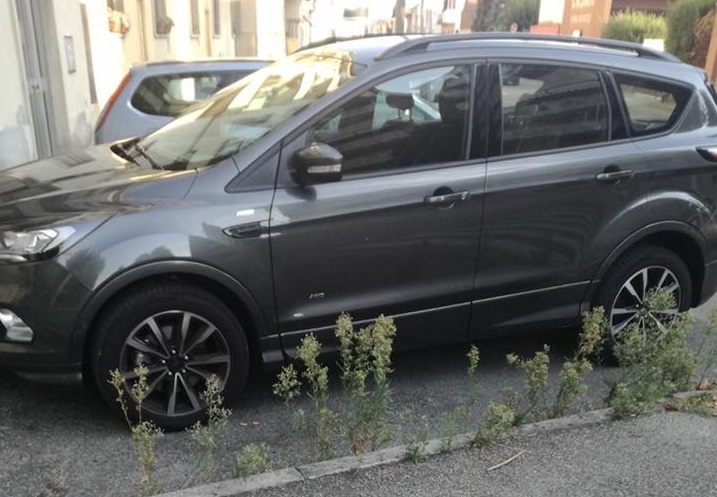 Marciapiedi invasi da erbacce a Lissone? “Facciamoli pulire dai profughi”