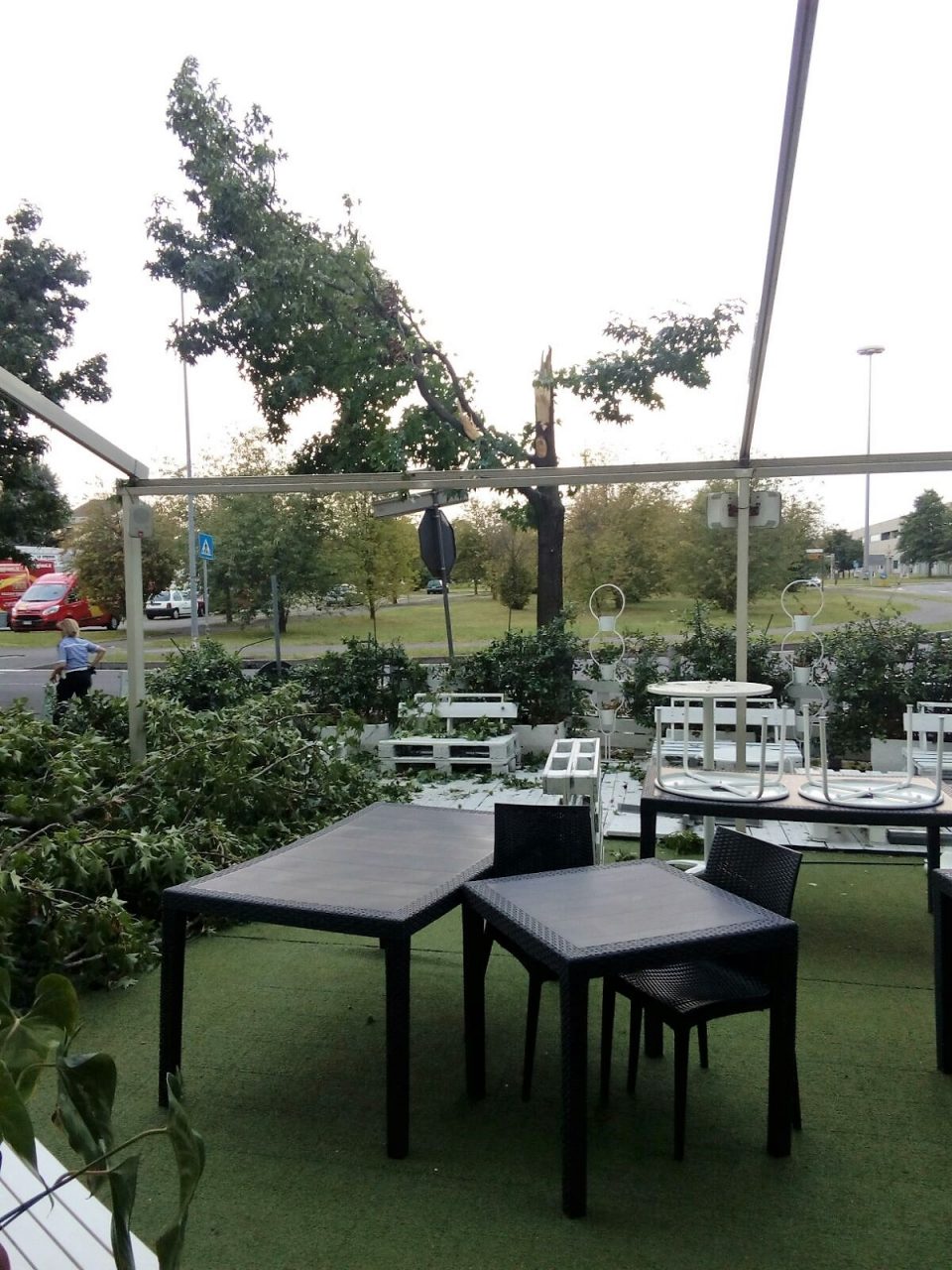 A Seregno un albero crolla sul bar, tragedia sfiorata