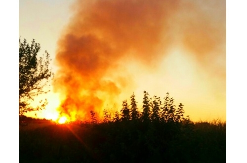 Masate-devastante-incendio-a-Cascina-Nuova-599b34444d59d4