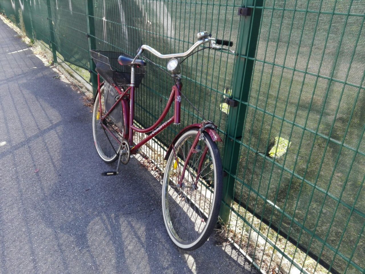 La bici si rompe, donna incinta cade e sbatte la testa