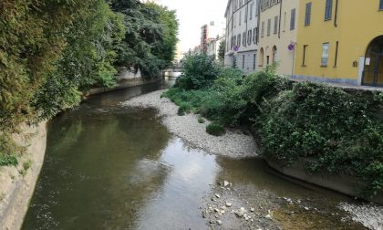 Al via la progettazione per riqualificare le aree verdi lungo il Lambro