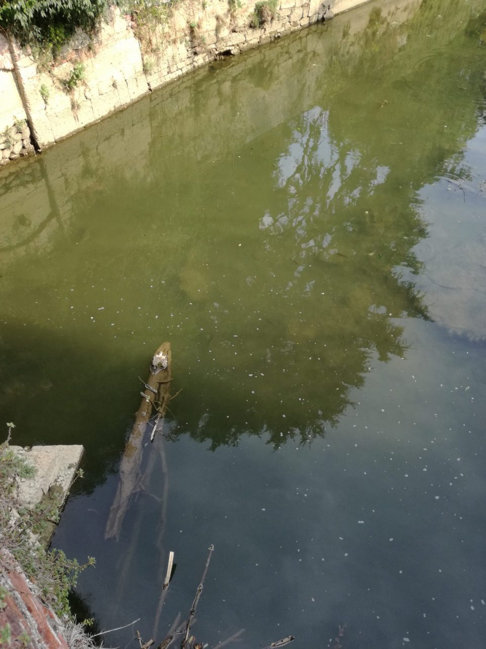 Monza, la surreali immagini del Lambro in secca in pieno centro