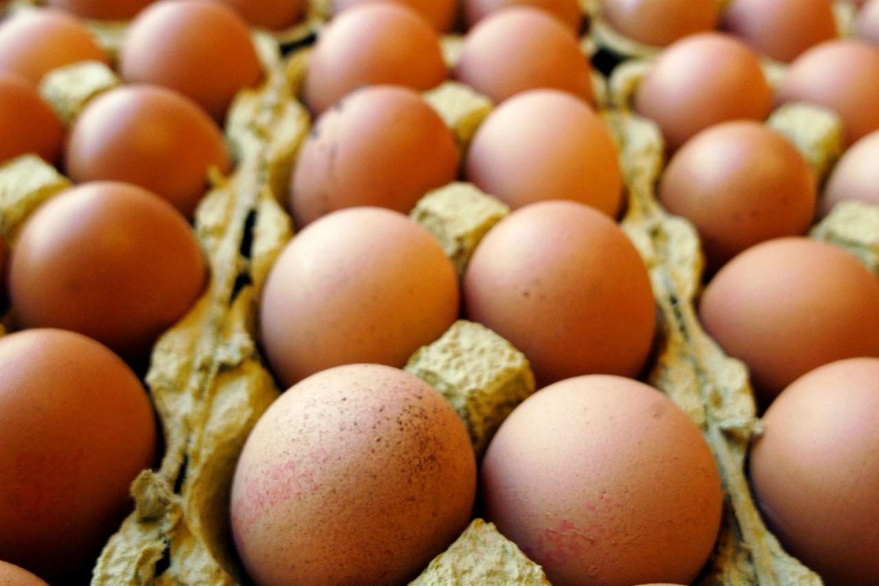 Uova contaminate al fipronil: nessun pericolo in Brianza