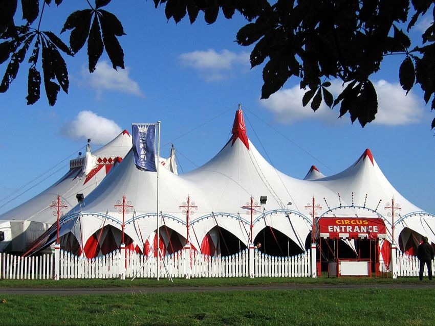 Gli animalisti scendono in piazza: “Stop agli animali al circo”