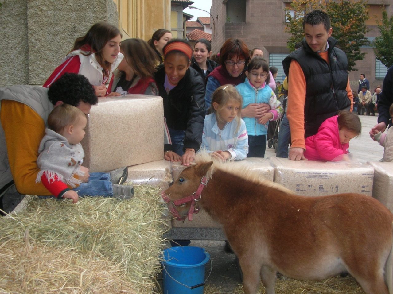 Vimercate: Pro loco celebra l’autunno