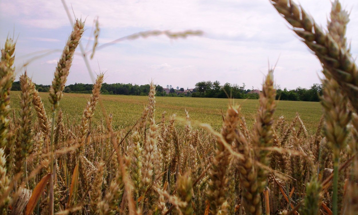 Nuovo riconoscimento per il Parco Agricolo Nord Est