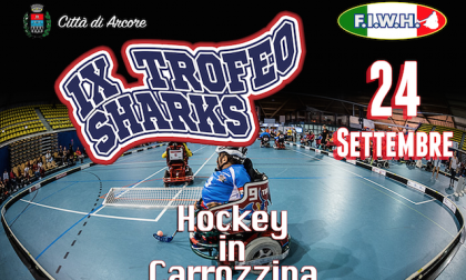 Sharks Monza: appuntamento al PalaUnimec con il torneo di Arcore
