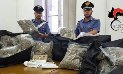 Controlli antidroga: sequestrati di 51 kg di stupefacente tra marijuana e cocaina
