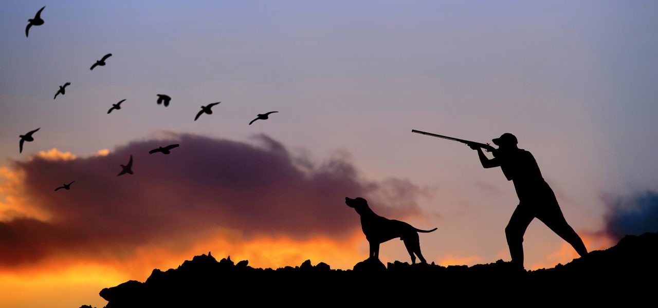 Abolizione della caccia, la mobilitazione della Lav