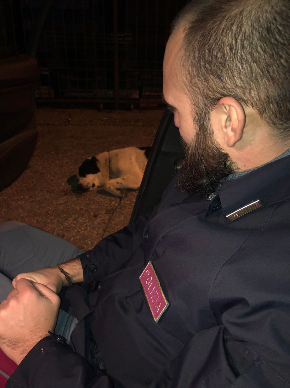 Cane salvato dalla Polstrada