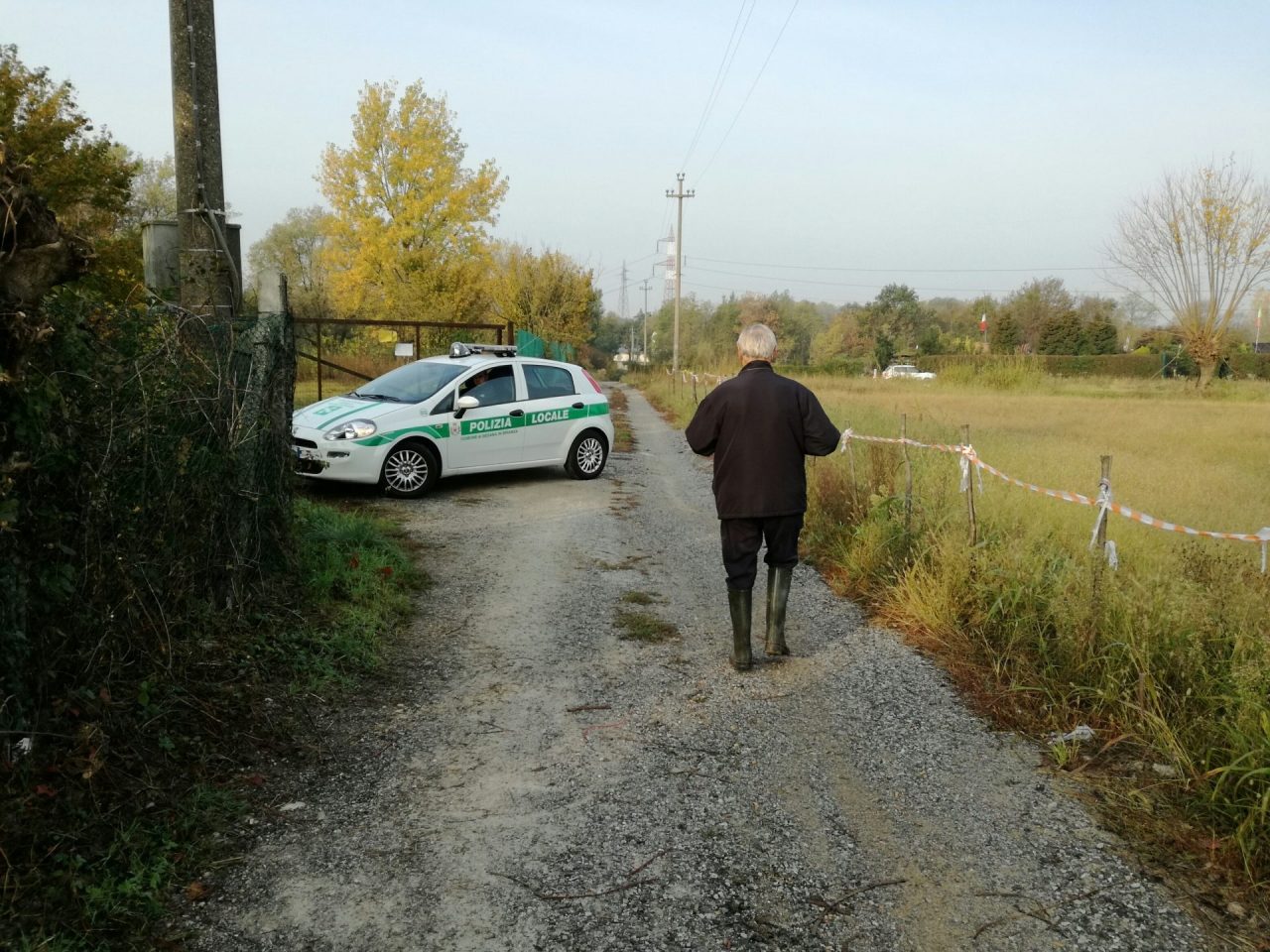 Moria di pesci nella roggia di Cazzano VIDEO