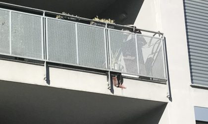 Vimercate: cane incastrato sul balcone, salvato dai pompieri VIDEO