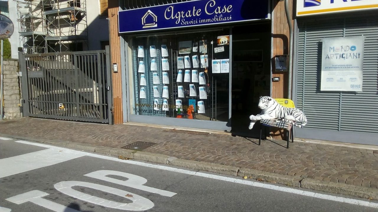 Dopo la pantera una tigre per far sorridere ancora i bambini