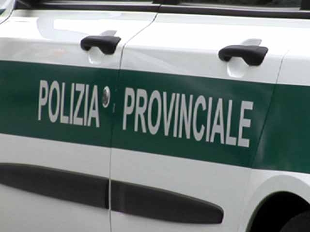 Durante una manifestazione canina individuato un uomo indagato per maltrattamento di animali